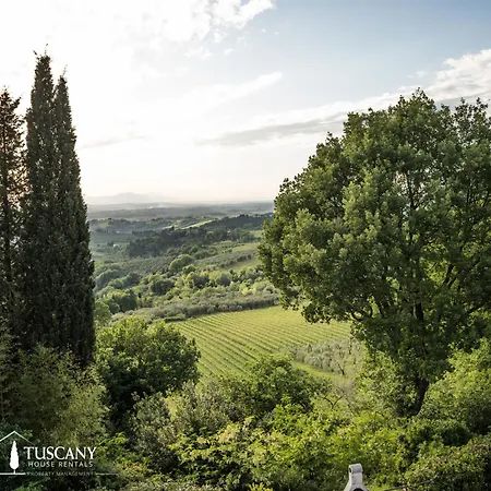 Appartamento Boccaccio With Livable Terrace And View Montespertoli